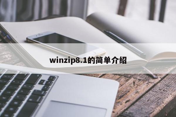 winzip8.1的简单介绍